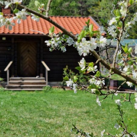 Charmig Stuga Mitt I Naturen! Villa Upplands Vasby Exterior photo